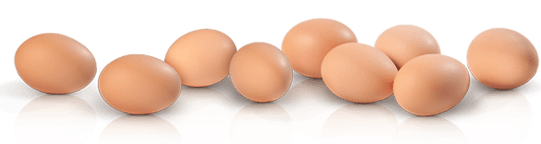foto van meerdere eieren