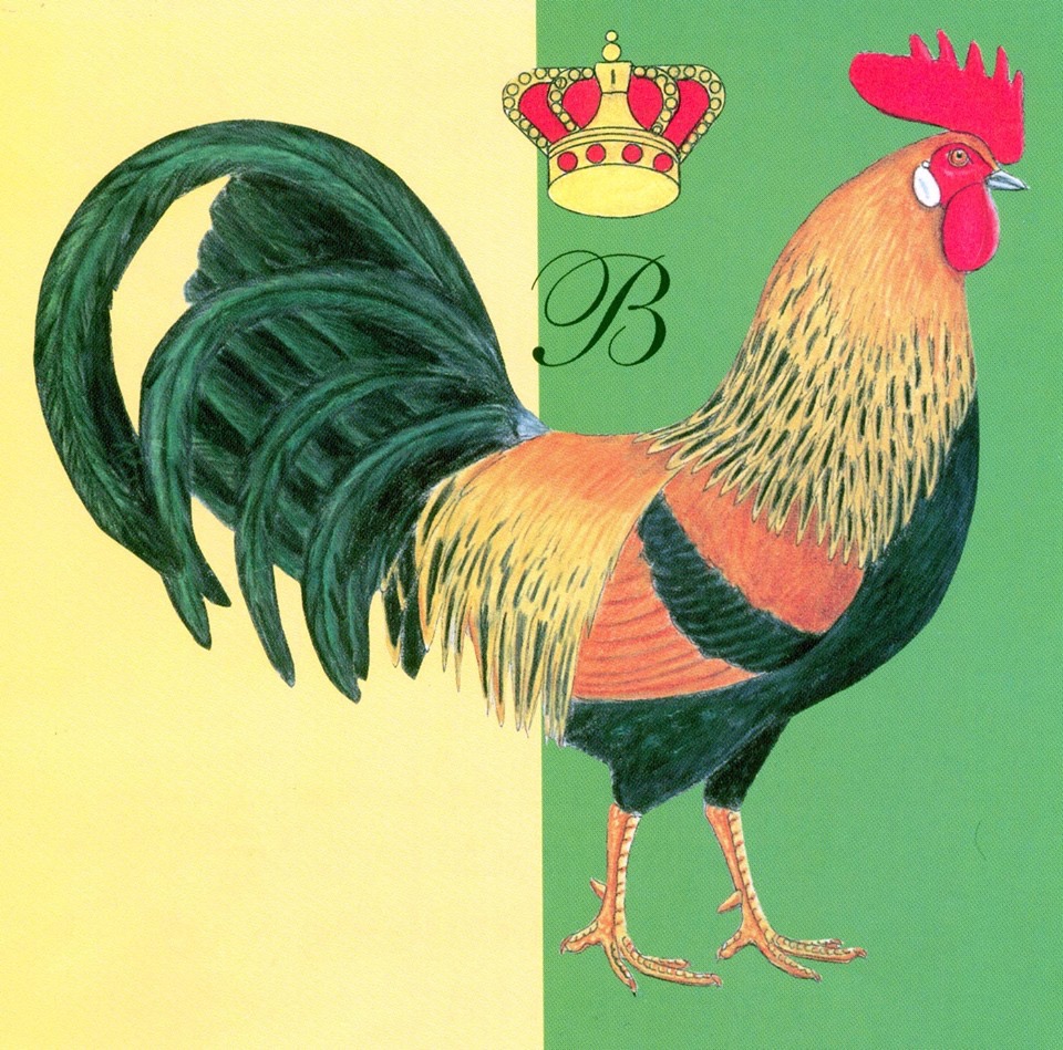 Logo Koninklijke Nederlandse Vereniging Avicultura