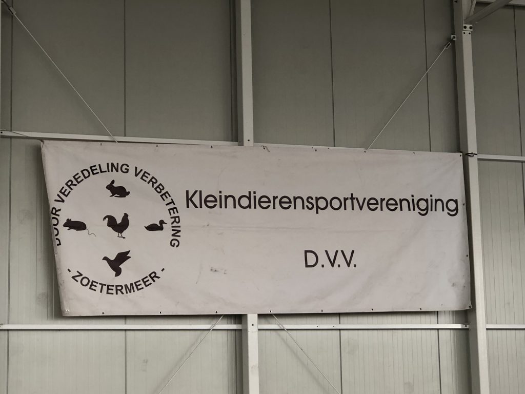 Banner DVV Zoetermeer