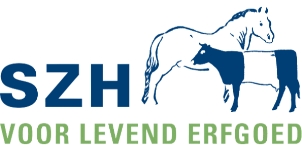 Logo ZSH